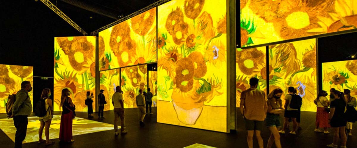 Van Gogh Alive, The Experience