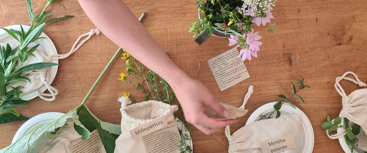 Plongez-vous dans le fabuleux monde des plantes sauvages avec L'îlot-S, les ateliers organisés par le CAUE d'Annecy