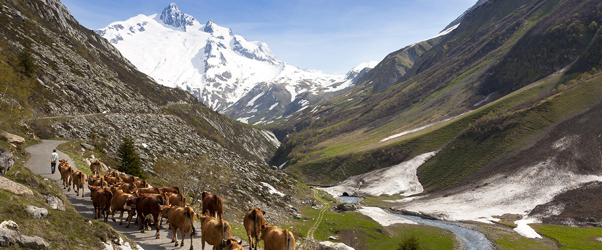 La programmation de l'été des Arcs au Bourg Saint Maurice