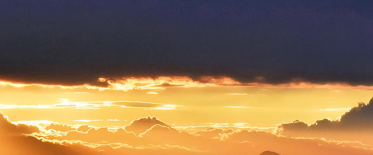 Découvrez le nouveau roman de Cédric Sapin-Defour "Où les étoiles tombent". Auteur également de "Son odeur après la pluie"