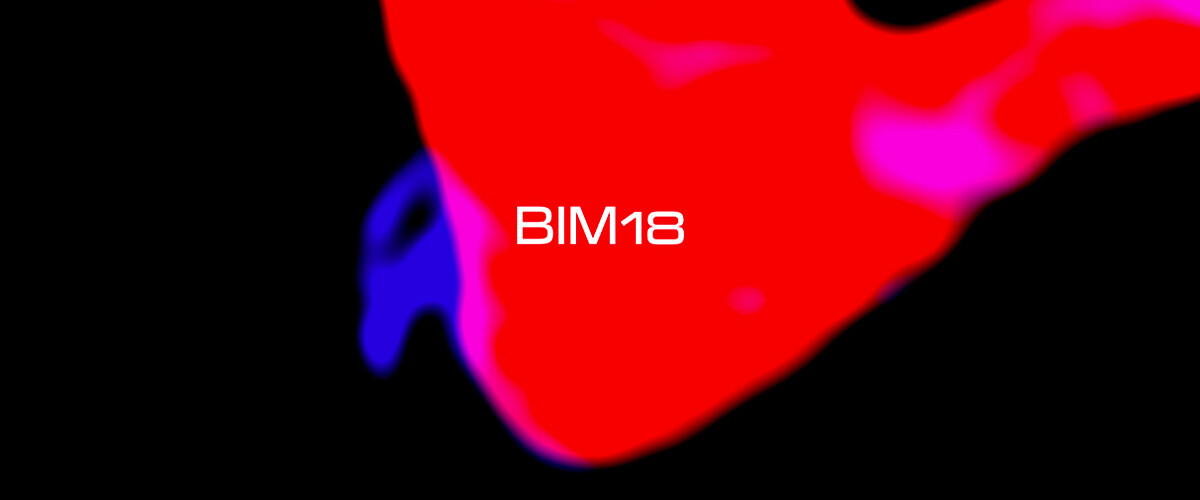 BIM18