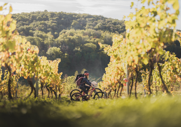 Partez pour un week-end à Bourg-en-Bresse