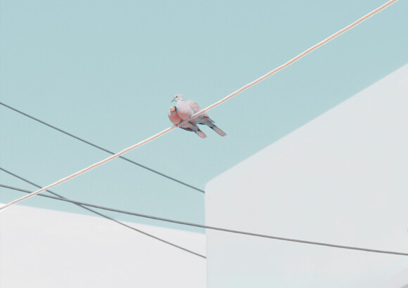 Charlotte Pilat