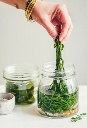 Comment profiter des bienfaits des algues alimentaires (avec HepKen) ?