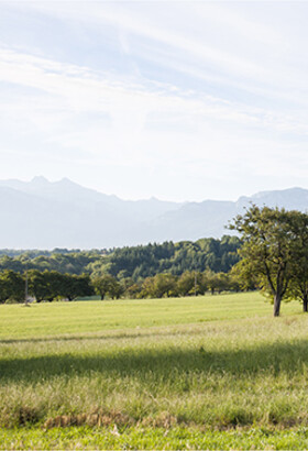 Le Grand Genève,  regards d’habitants