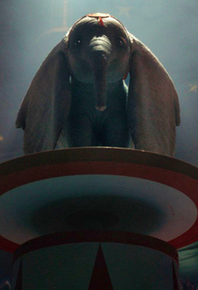 Dumbo