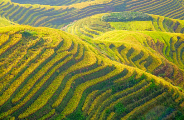 La Chine du Sud