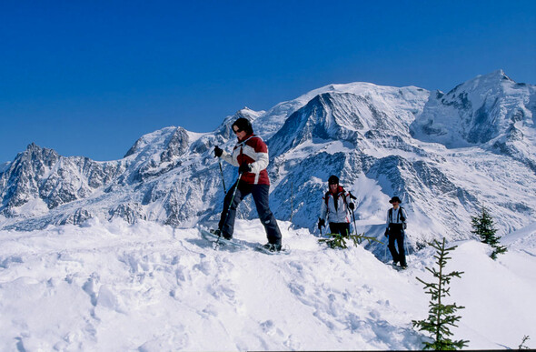 Les Houches