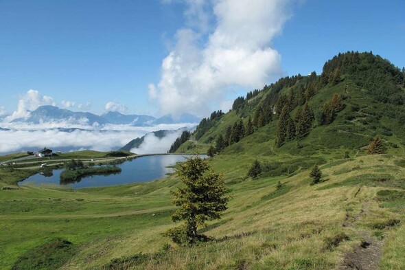 Col de Joux plane