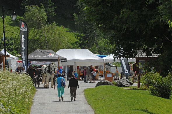 Festiv'été des Gorzdérés