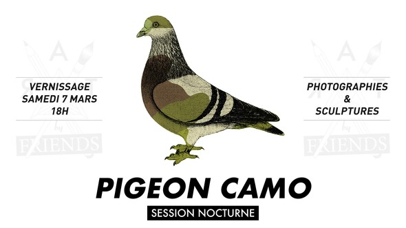 Pigeon CAMO