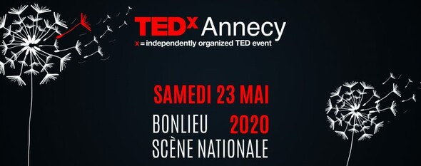 TED X ANNECY - REPORT