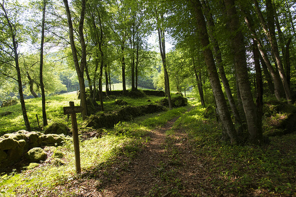 Le Département de Haute-Savoie