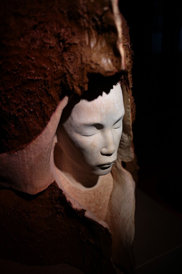 Human Nature - Emmanuel Bour