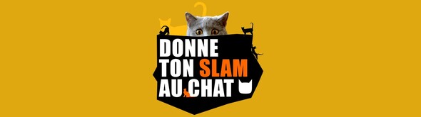 DONNE TON SLAM AU CHAT !