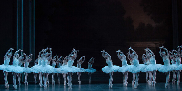 LE LAC DES CYGNES