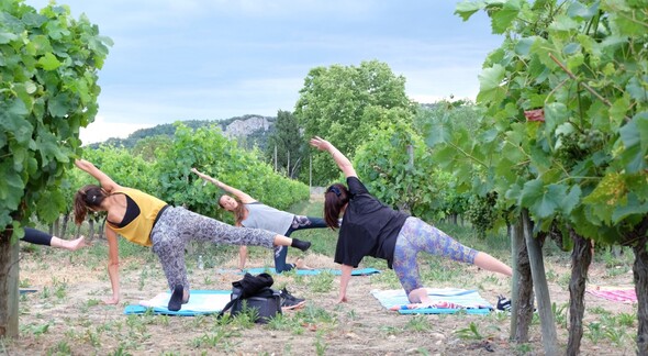 Les Dadas du Yoga & Apéro du Terroir