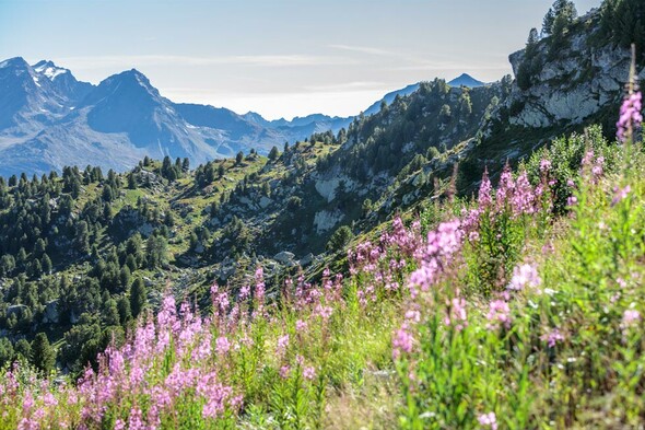 Quoi faire aux Arcs cet été ? Concerts, salons et sport...