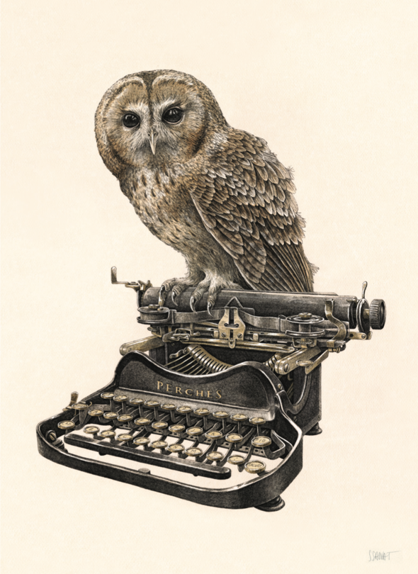 Steeven Salvat, l'artiste Mentonnais qui s'inspire des graveurs naturalistes du XVIIIe siècle