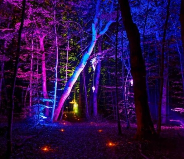 Découvrez "MAGIC GREEN’ART" - Quand la culture traverse la frontière et illumine la forêt