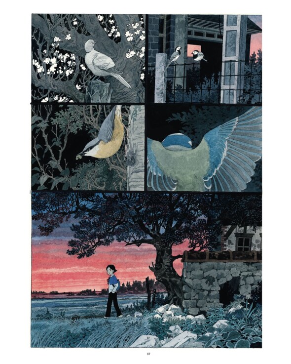 "Terre ou Lune" Tome 1 de Jade Khoo - Éditions Morgen