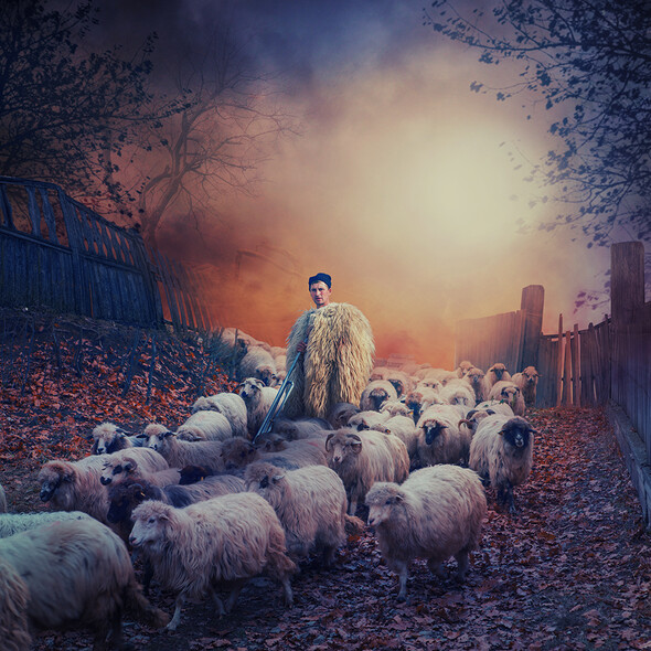 caras ionut