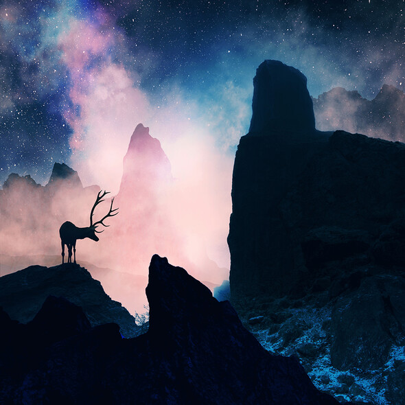 caras ionut