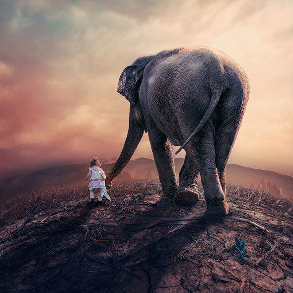 caras ionut