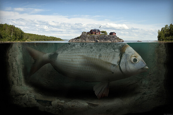 ERIK JOHANSSON