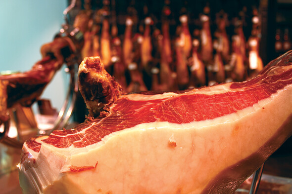 iberico & co