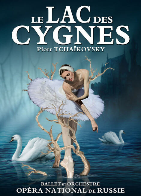 LE LAC DES CYGNES