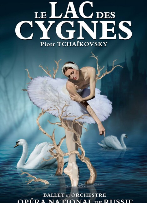 Le Lac des Cygnes