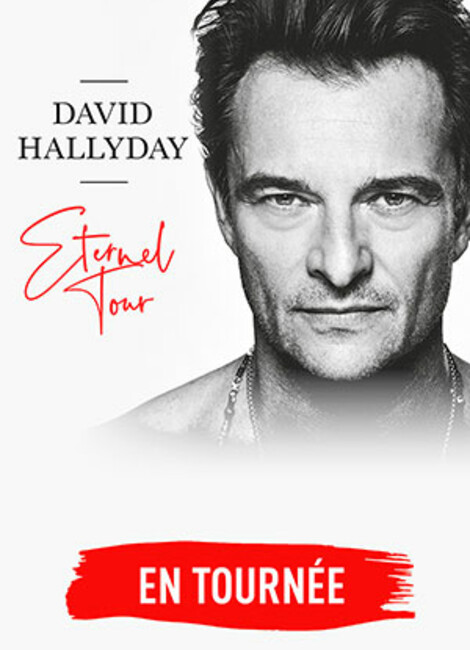 DAVID HALLYDAY