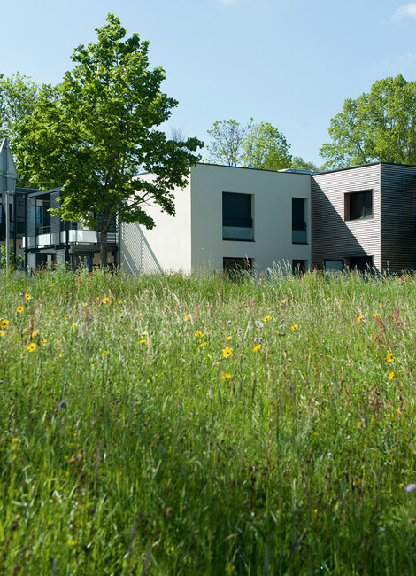 La ville des nouveaux cycles  de vie