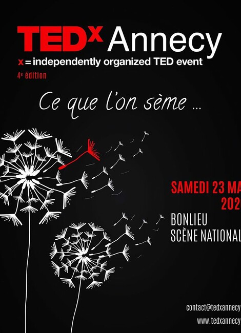 TED X ANNECY - REPORT
