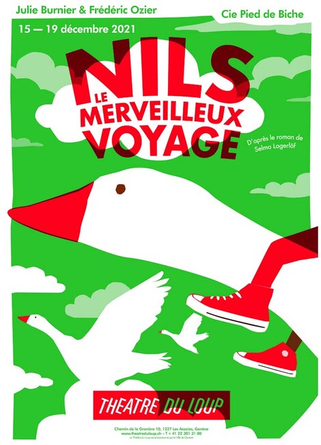 Nils, le merveilleux voyage