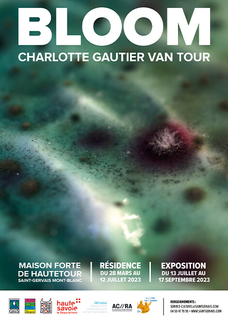 Bloom - Charlotte Gautier van Tour