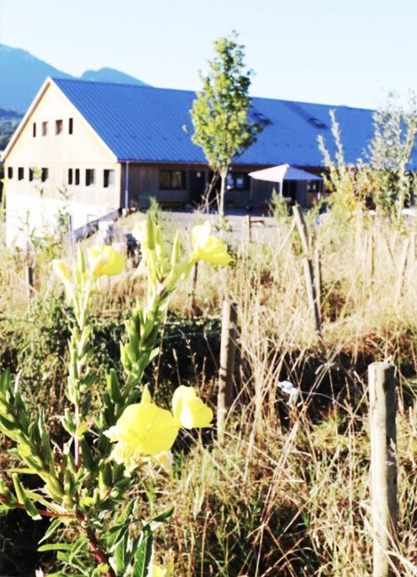 Festival pour enfants - École Montessori du Pays Rochois