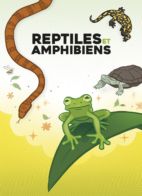 Reptiles & Amphibiens