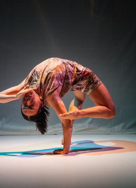 Portraits de femmes (Plateau partagé – Naoko Tozawa et Carmel Loanga)