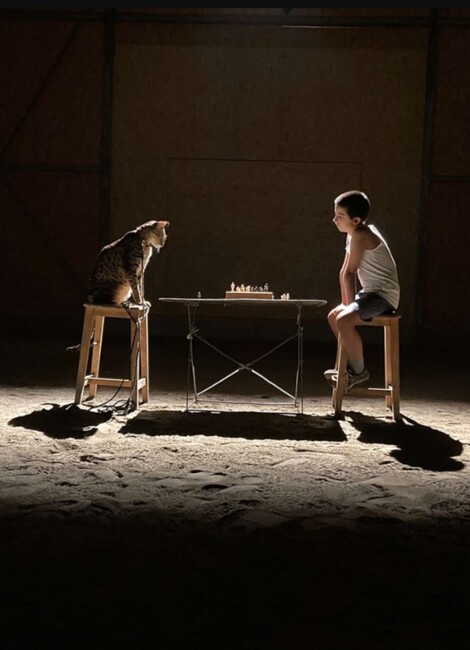 Modeste le petit pion - La Filiale Fantôme, Alexandre Gasparov