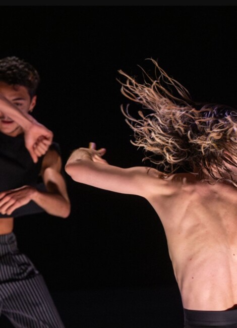 Fugaces - Aina Alegre