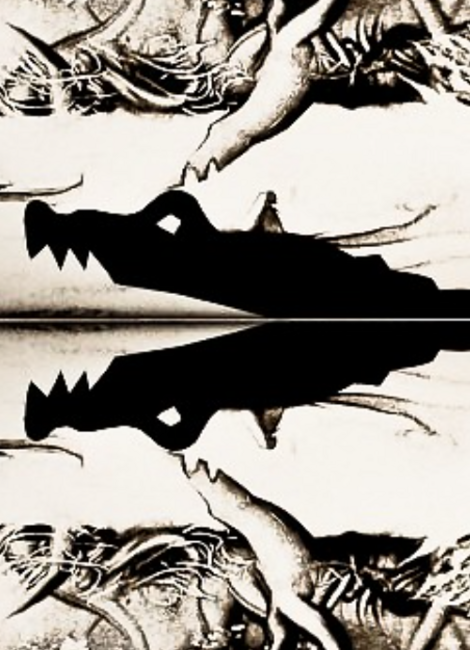 Contes Shipibos - Cie Caminos