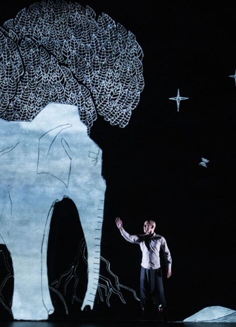 CHOTTO DESH Akram Khan et Sue Buckmaster