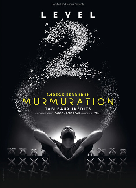 MURMURATION Level 2