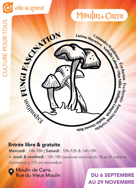 Exposition artistique : Fungi Fascination