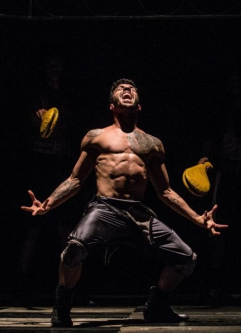 Boxe Boxe Brasil - Compagnie Käfig