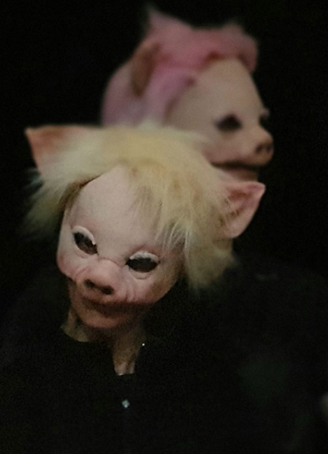 La ferme des animals