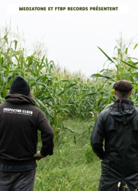 The Inspector Cluzo + The Messenger Birds