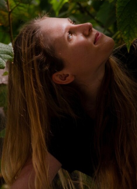 Les arts face aux enjeux écologiques